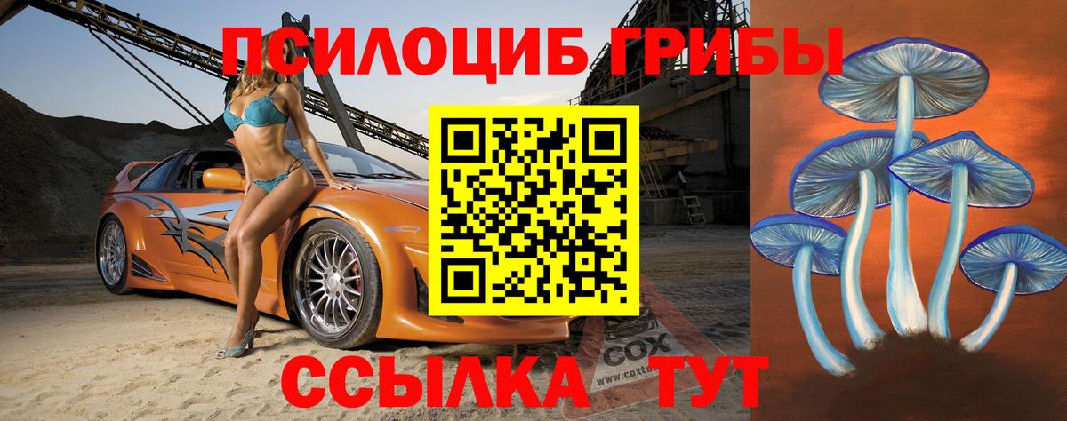 Елец  Псилоцибиновые грибы мухоморы  наркота  Галлюциногенные грибы мухоморы  Вход с VPN 